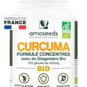 Curcuma BIO Haute Concentration | Avec Gingembre Bio | Curcumine Haute Absorption | Sans Pipérine | Articulations | 120 Gélules | Qualité Supérieure