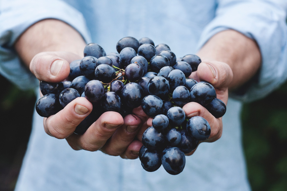 Top 10 des fruits de saison en septembre