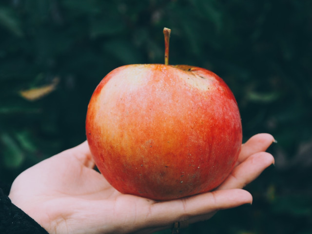 pomme dans la main